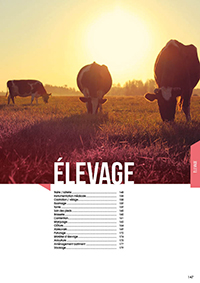 CATALOGUE 2020 - PARTIE 4